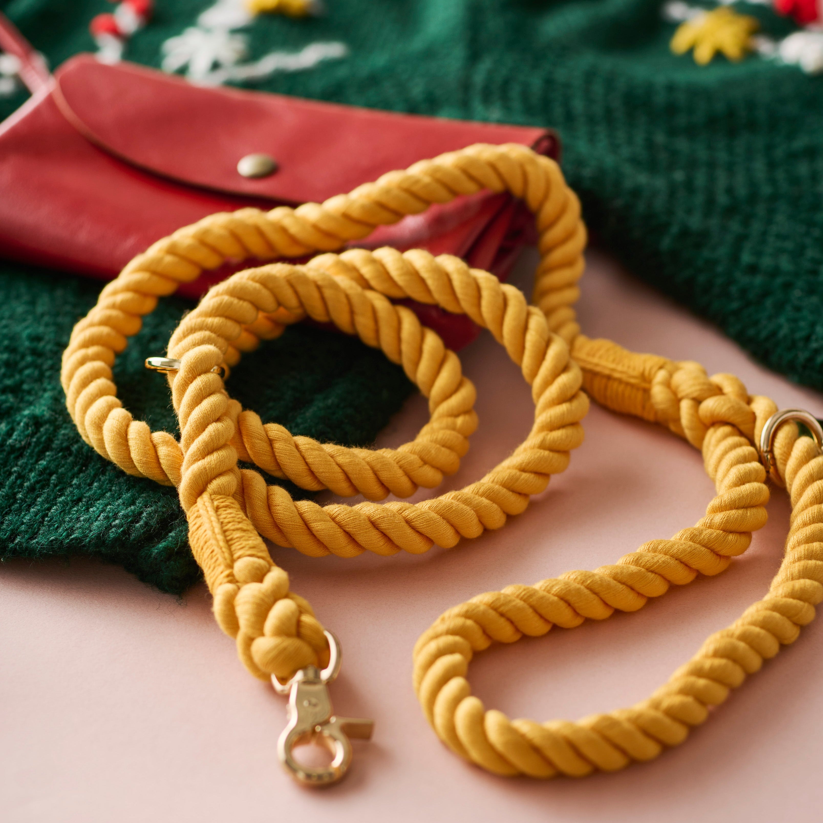 2 in 1 ロープリード|首輪一体型・スリップリードのように使える犬用リード