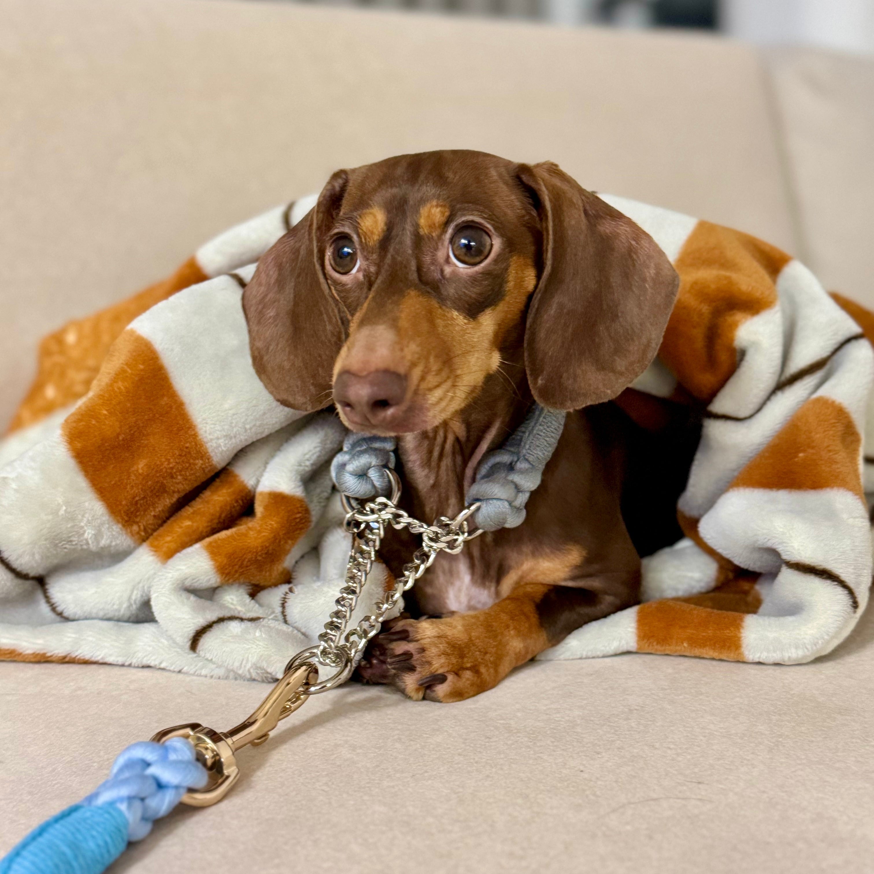 ロープハーフチョーク首輪 全16色