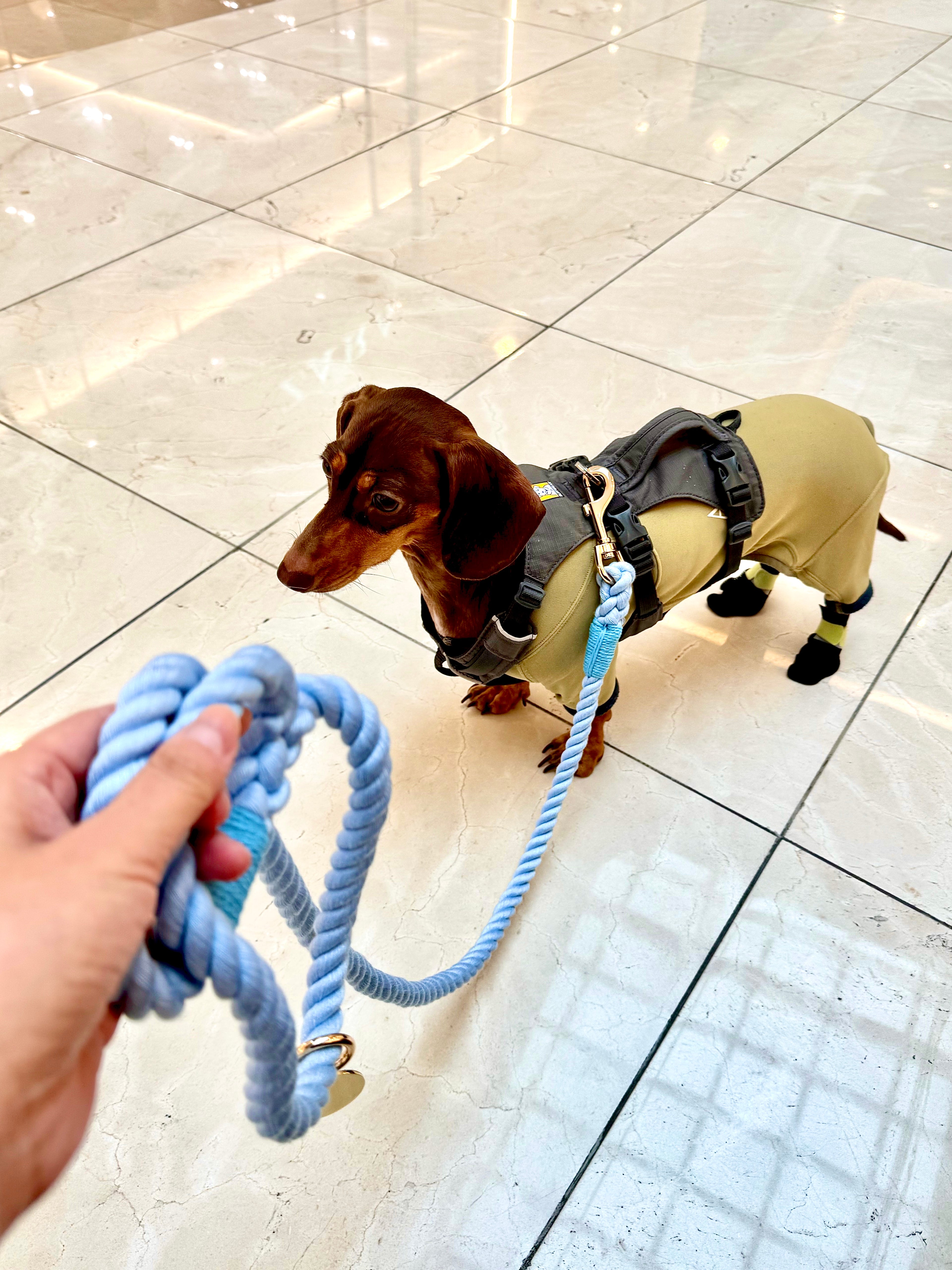 Rope Lead 120cm - SORA & Gold