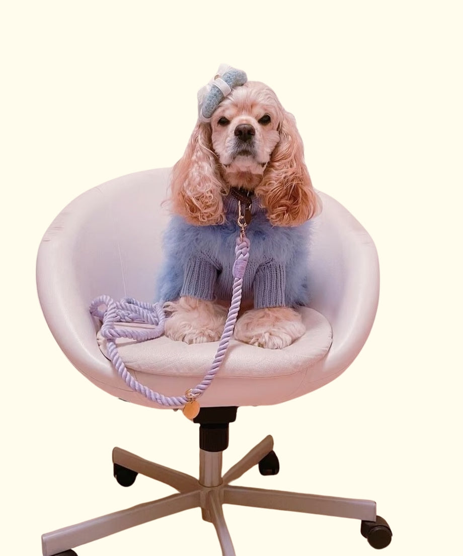 Hands-free rope lead 210cm - SUMIRE & Gold, thick lever hook snap hook