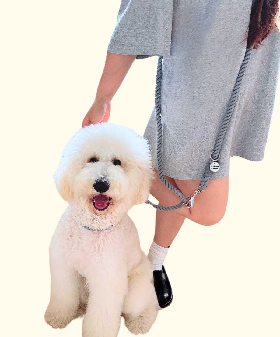 Hands-free rope lead 210cm -GRAY