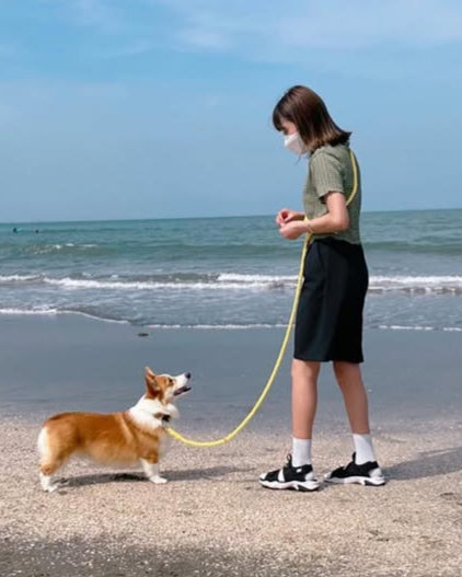 Hands-free rope lead 210cm - LEMON & Silver, thick lever hook snap hook