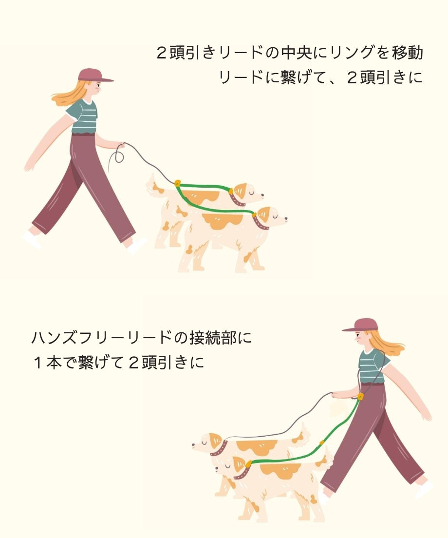2頭引き 多頭引き リード 90cm 全3色 <GOLD>