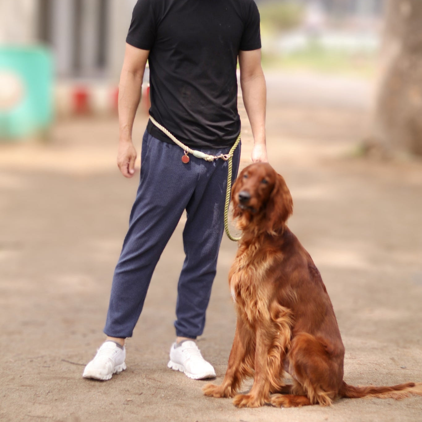 肩掛け ハンズフリーロープリード 210cm - OLIVE KHAKI/オリーブカーキ <GOLD>