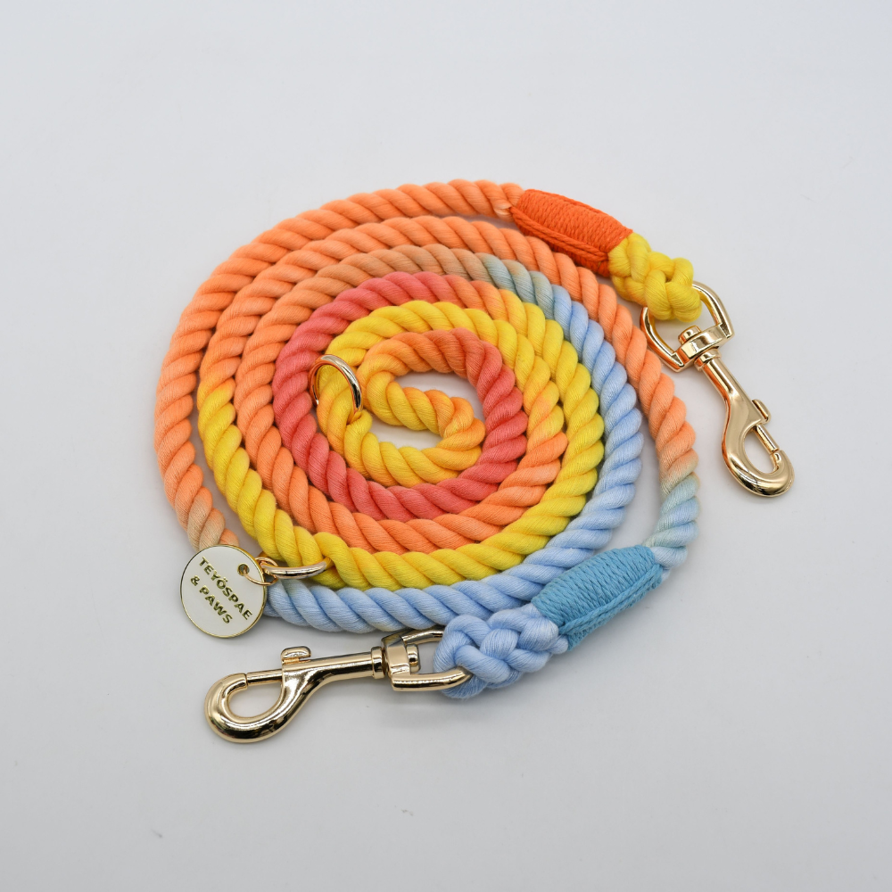 Hands-free rope lead 210cm - RAINBOW & Silver, thick lever hook snap hook