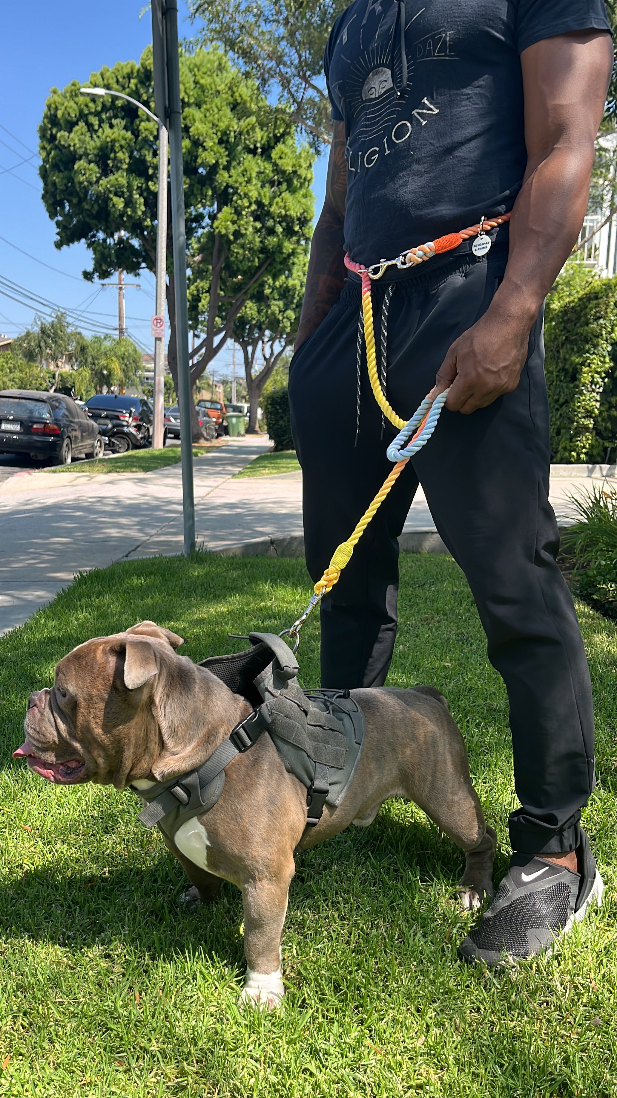 Hands-free rope lead 210cm - RAINBOW & Silver, thick lever hook snap hook