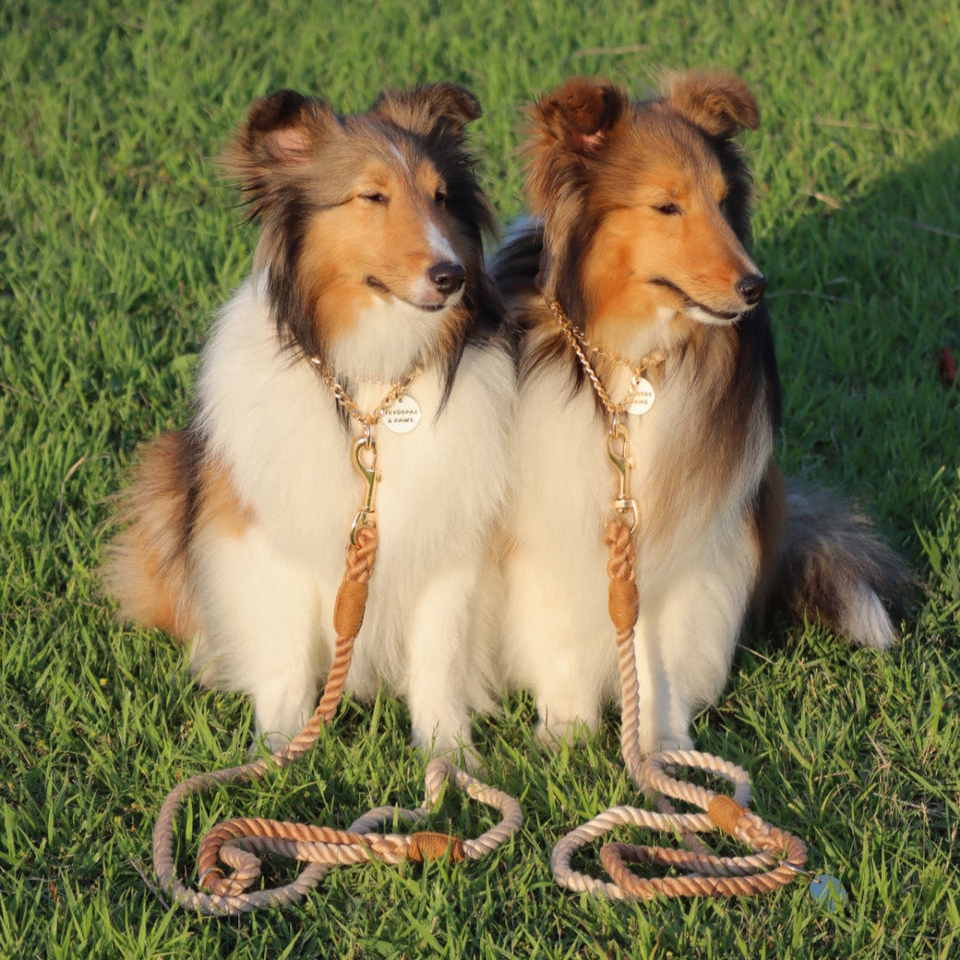 ロープリード120cm/150cm - CAFE LATTE/カフェラテ <GOLD>