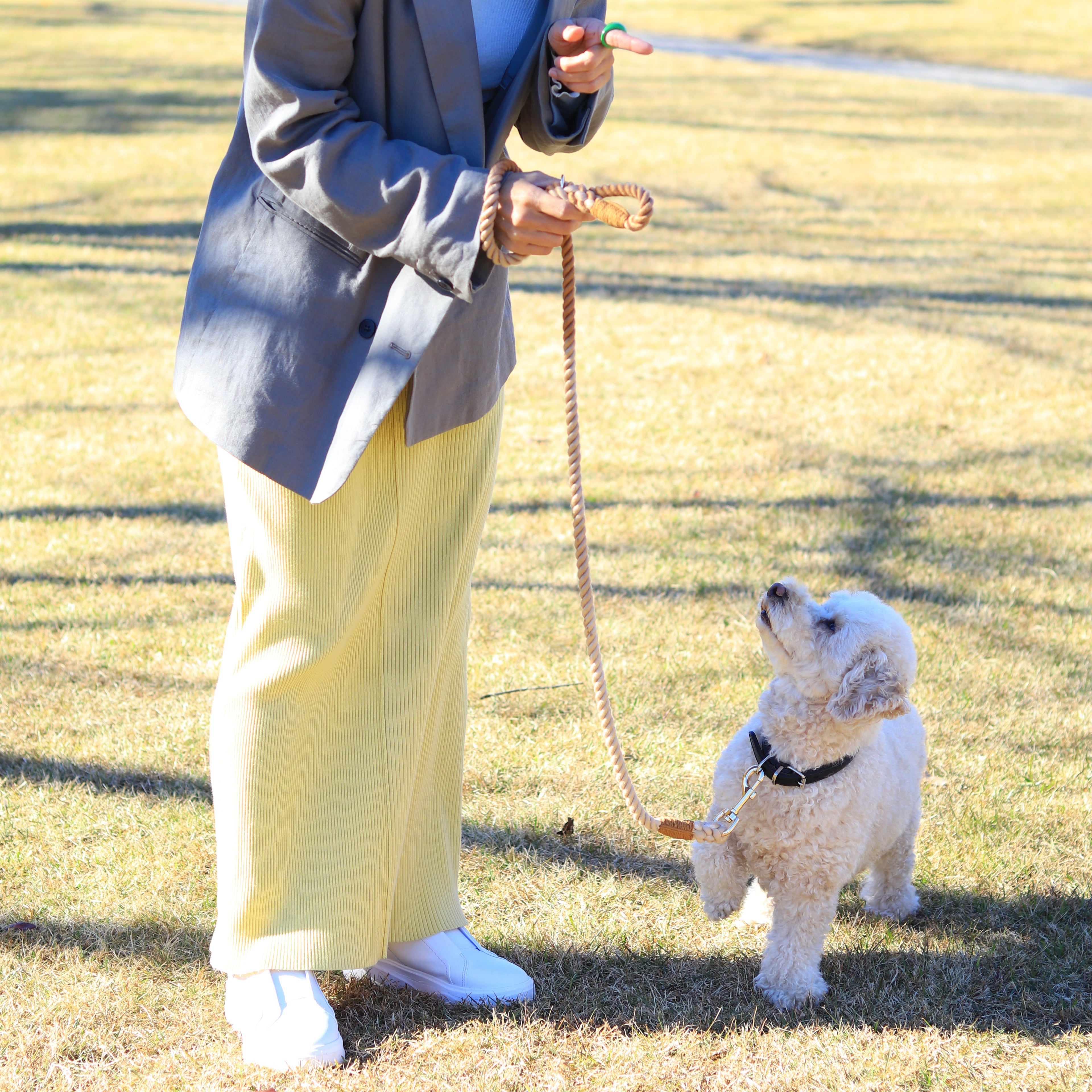 ロープリード120cm/150cm - CAFE LATTE/カフェラテ <GOLD>