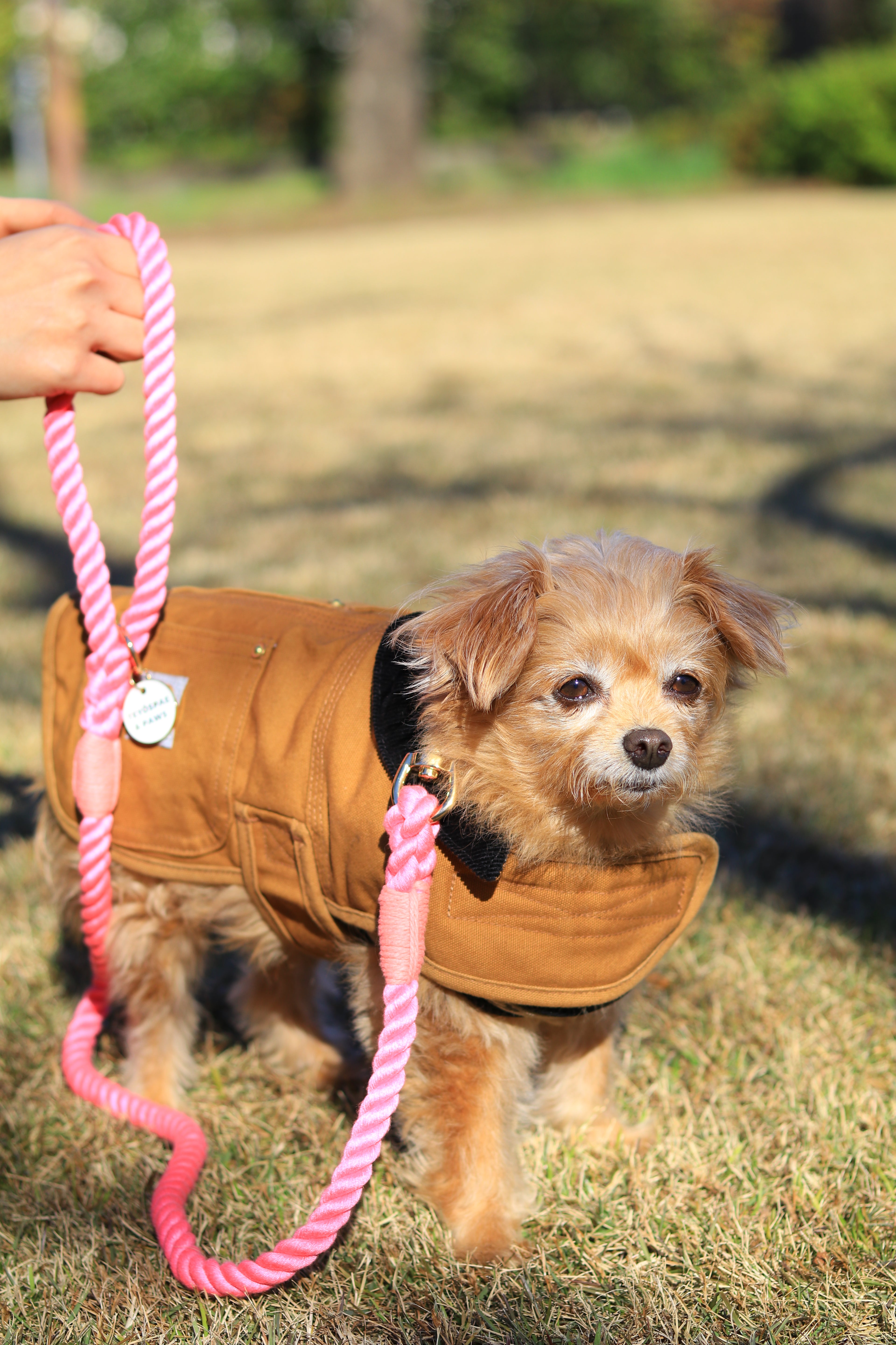 ロープリード120cm/150cm - FLAMINGO PINK/フラミンゴピンク <GOLD>