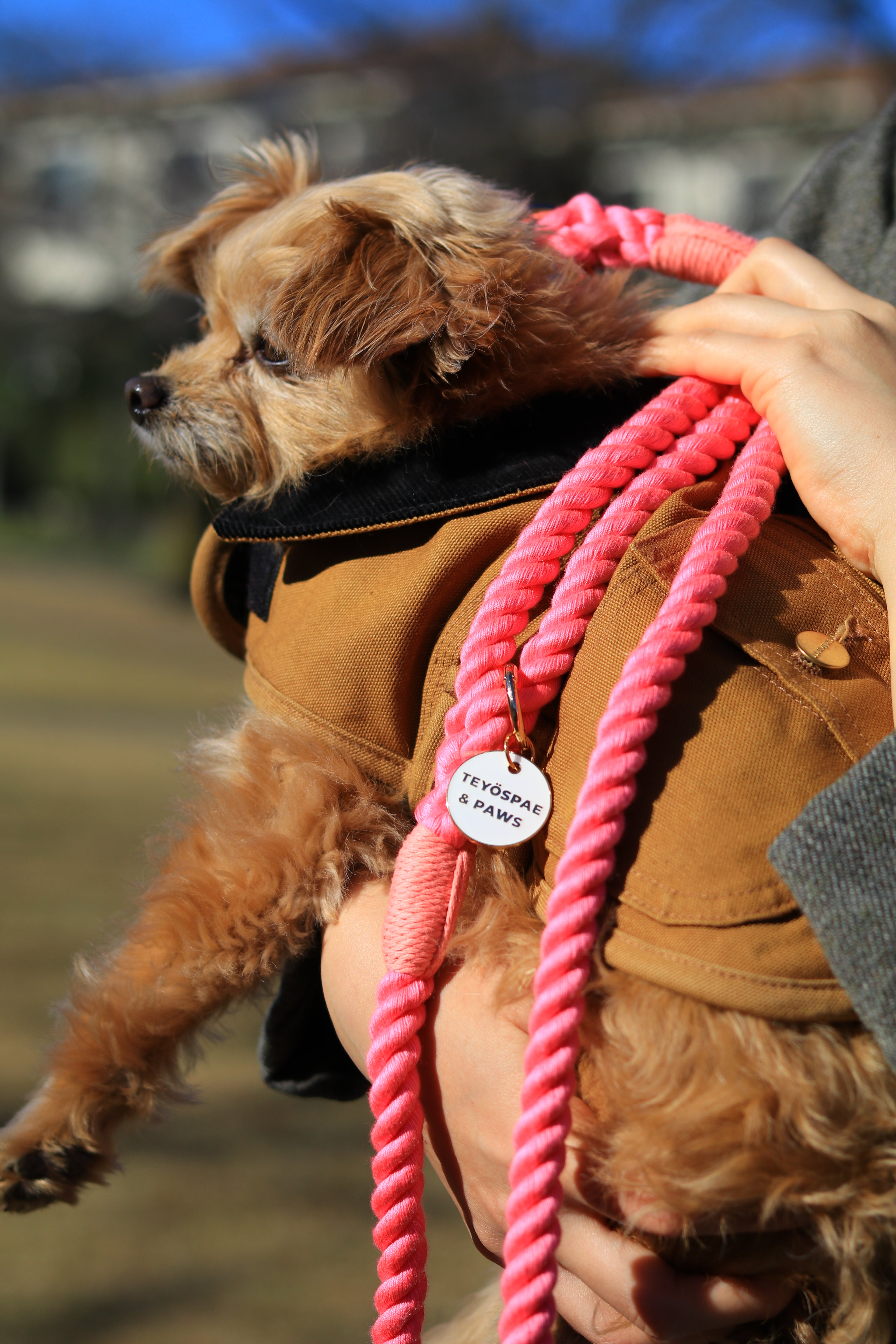 ロープリード120cm/150cm - FLAMINGO PINK/フラミンゴピンク <GOLD>