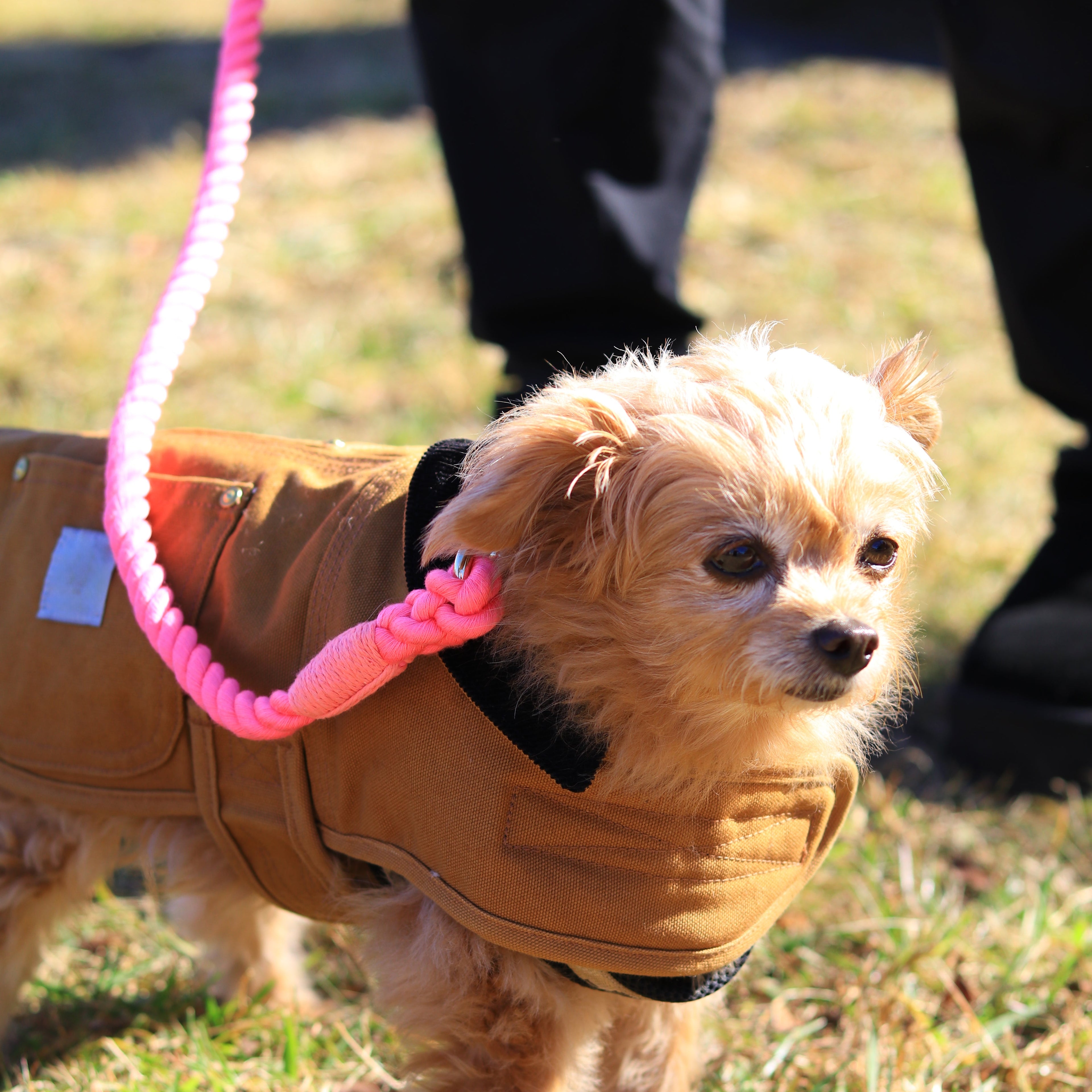 ロープリード120cm/150cm - FLAMINGO PINK/フラミンゴピンク <GOLD>