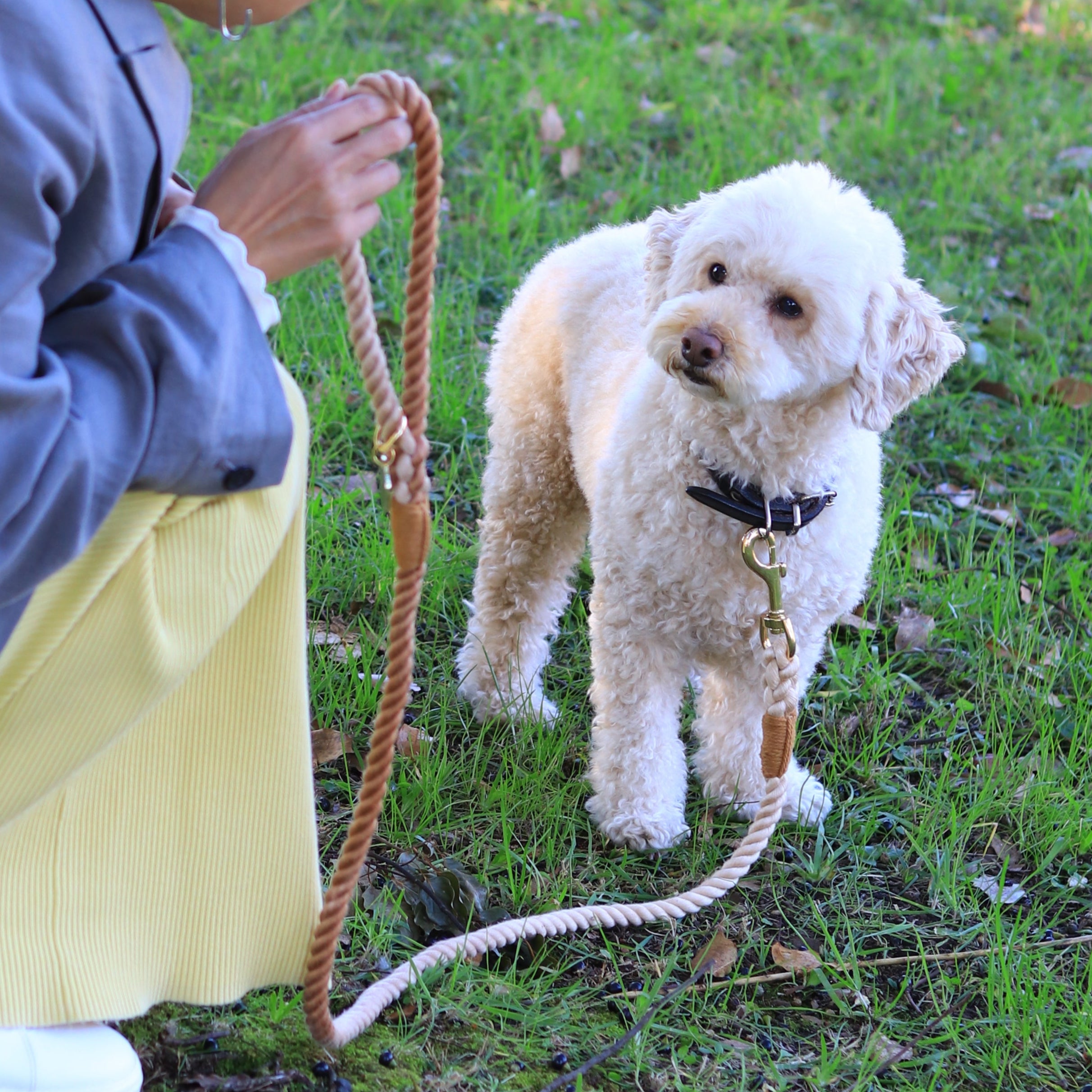 ロープリード120cm/150cm - CAFE LATTE/カフェラテ <GOLD>