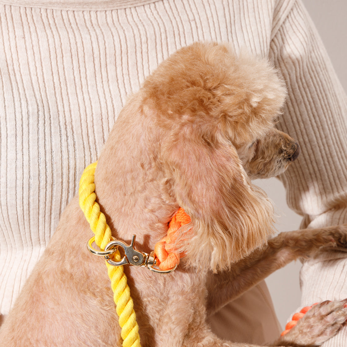 2 in 1 ロープリード 150cm