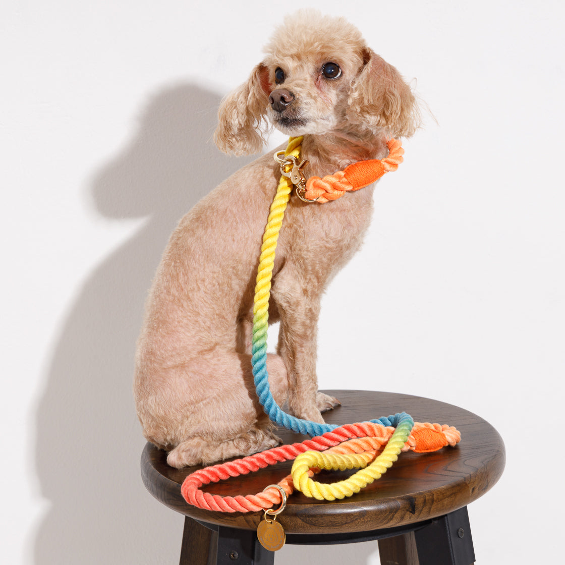 2 in 1 ロープリード 150cm