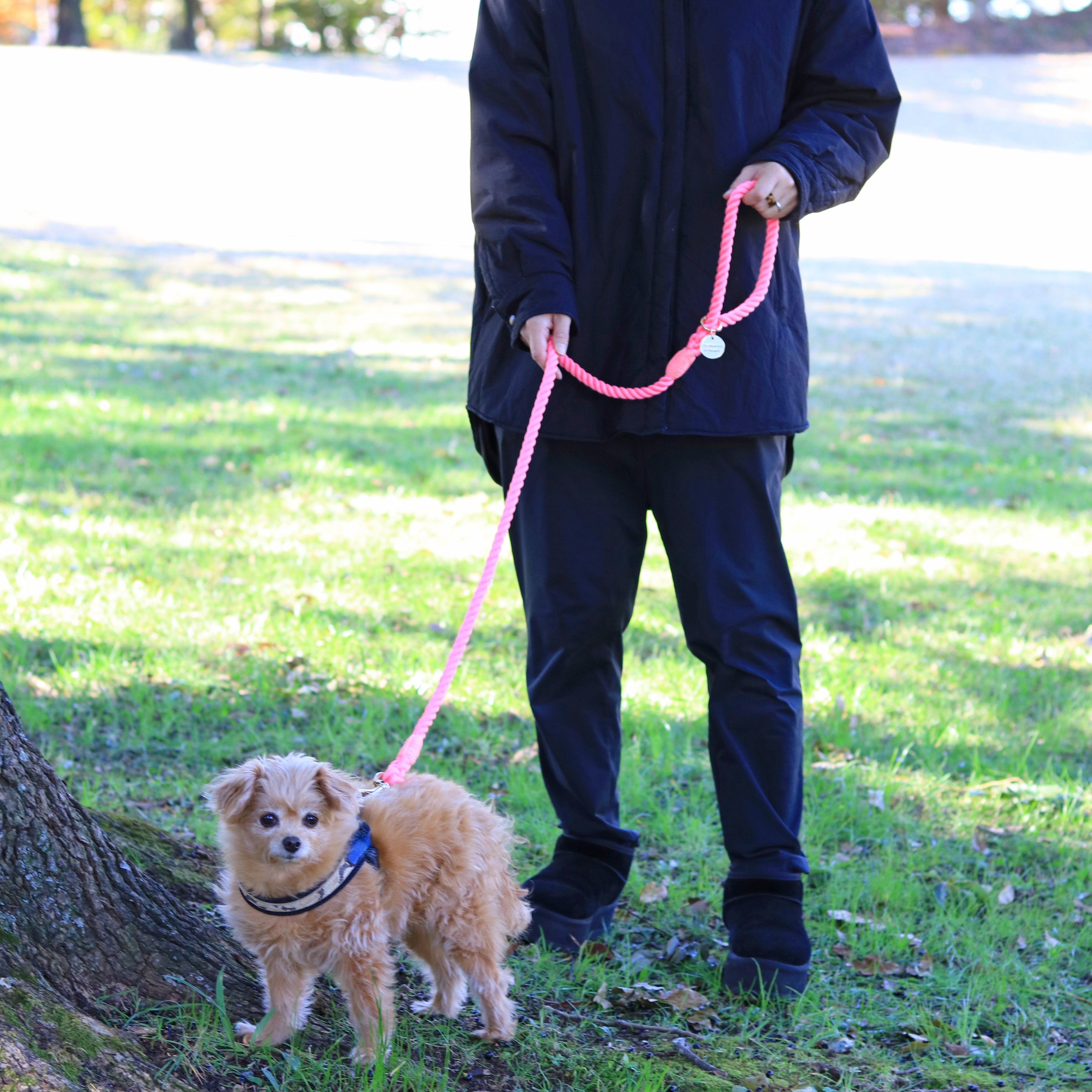 ロープリード120cm/150cm - FLAMINGO PINK/フラミンゴピンク <GOLD>