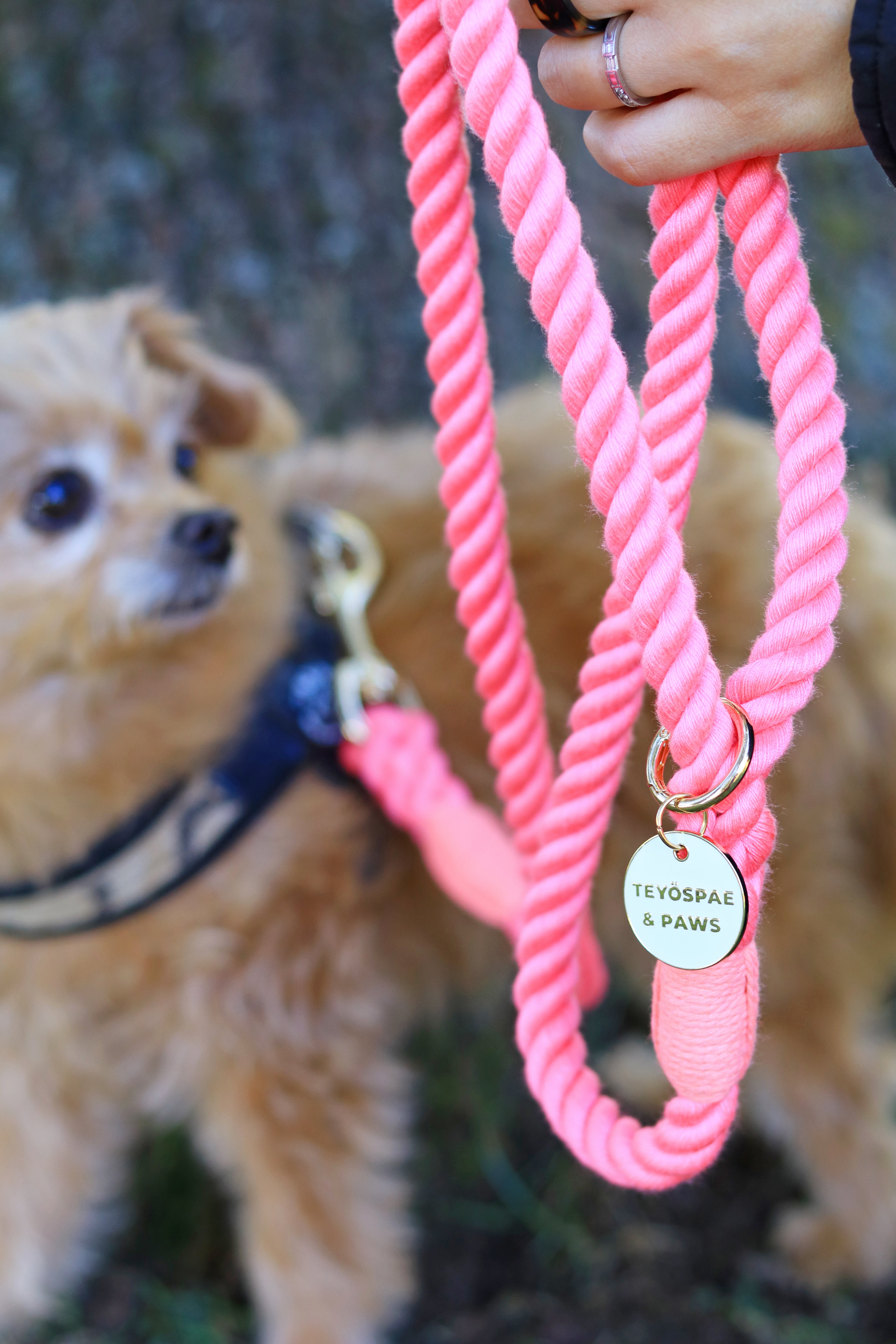 ロープリード120cm/150cm - FLAMINGO PINK/フラミンゴピンク <GOLD>