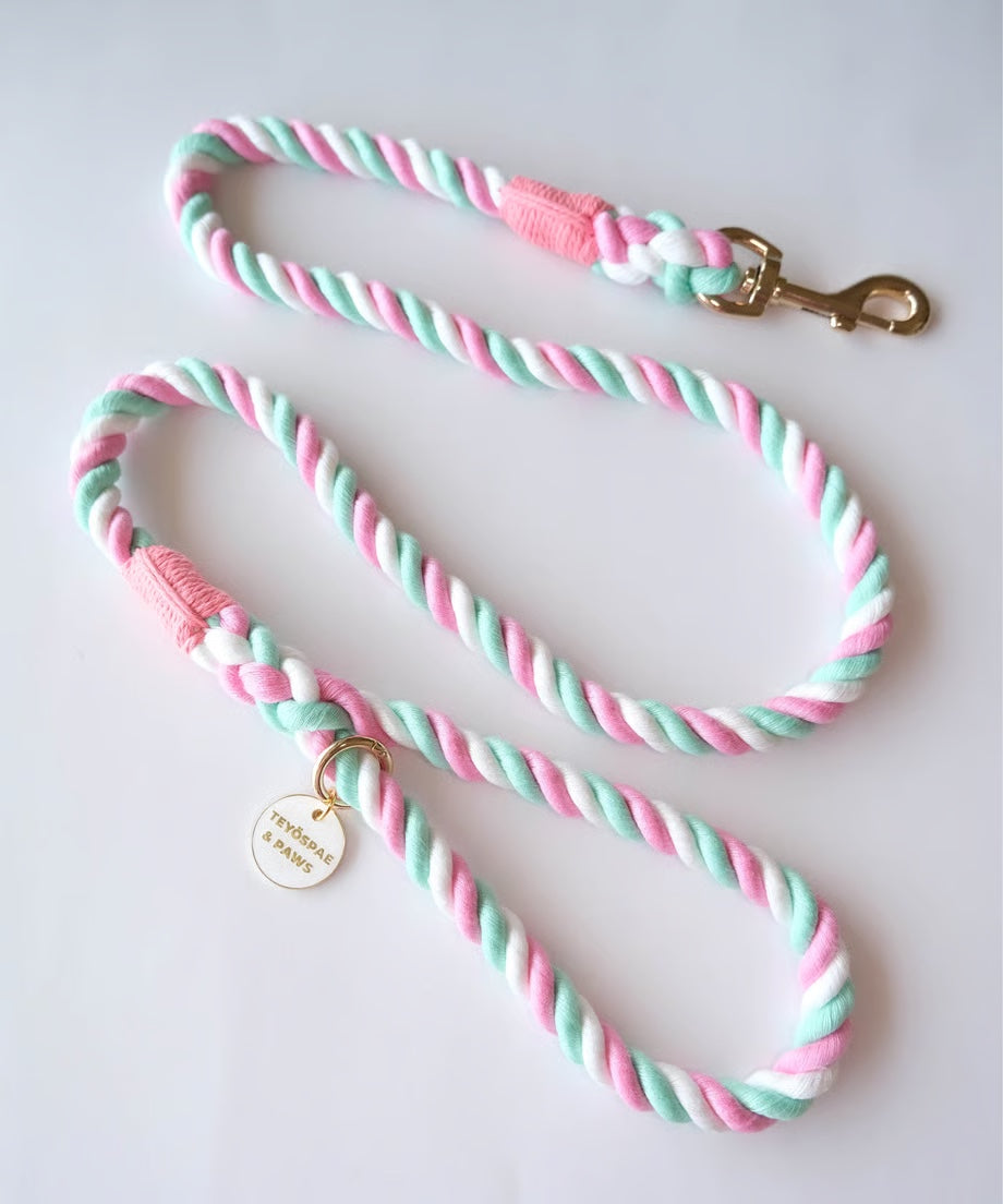 Rope Lead 120cm - LOLLIPOP & Gold