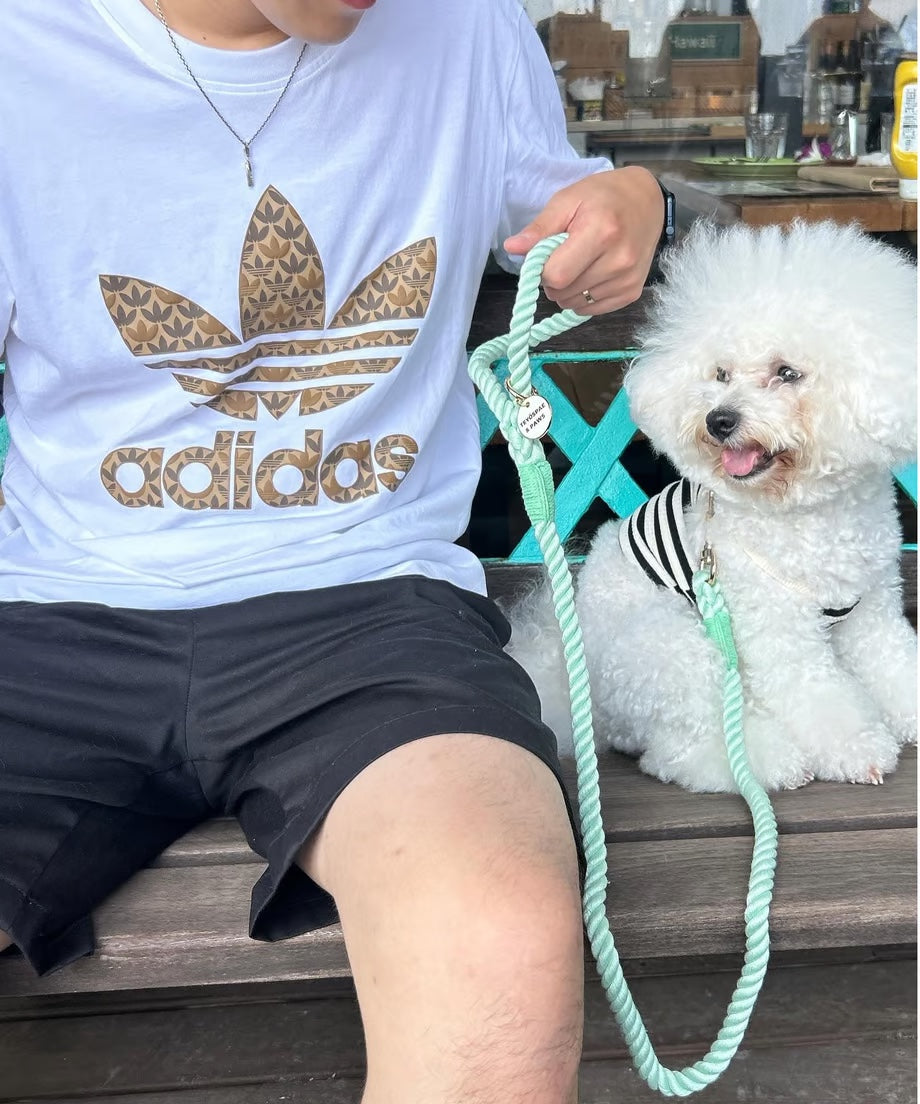 Rope Lead 120cm - WAKABA & Gold