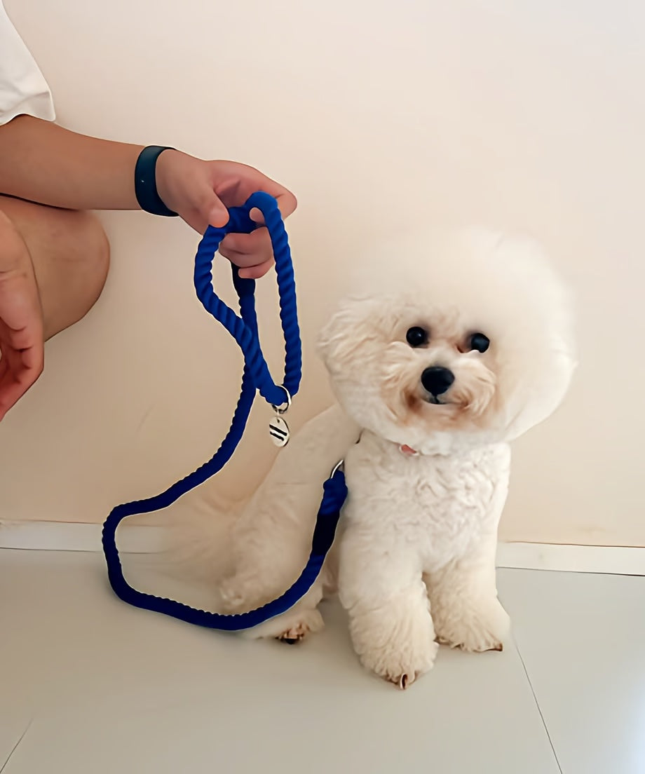 Rope Lead 120cm - UMI & Silver