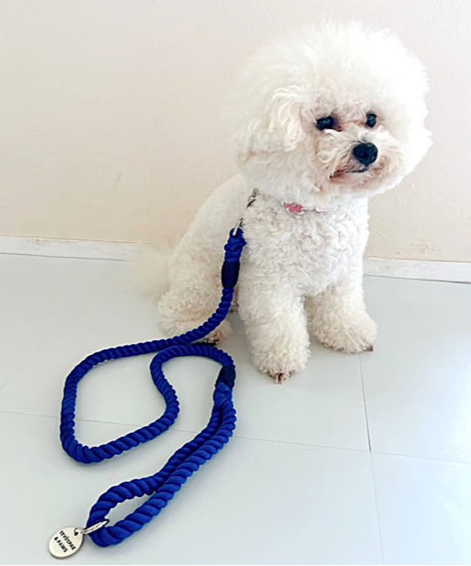 Rope Lead 120cm - UMI & Silver