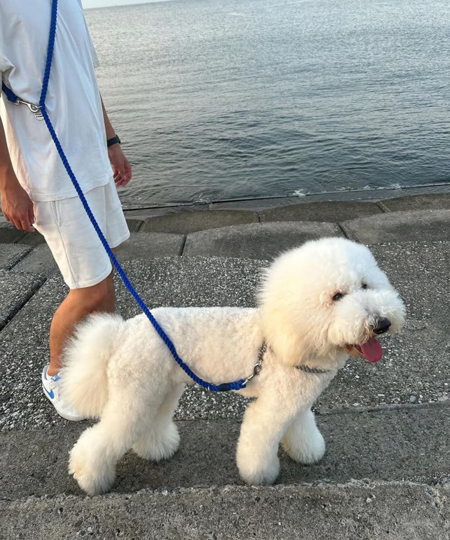 肩掛け ハンズフリーロープリード 210cm - UMI/海 <SILVER>