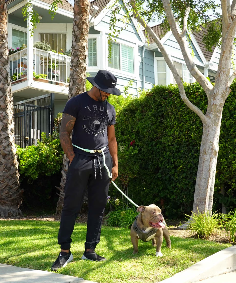 Hands-free rope lead 210cm - WAKABA & Gold, thick lever hook snap hook