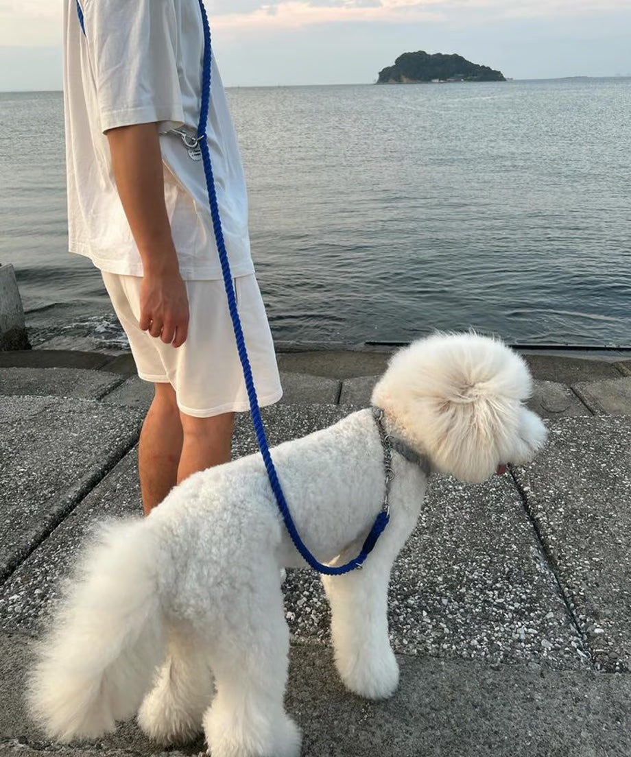 肩掛け ハンズフリーロープリード 210cm - UMI/海 <SILVER>