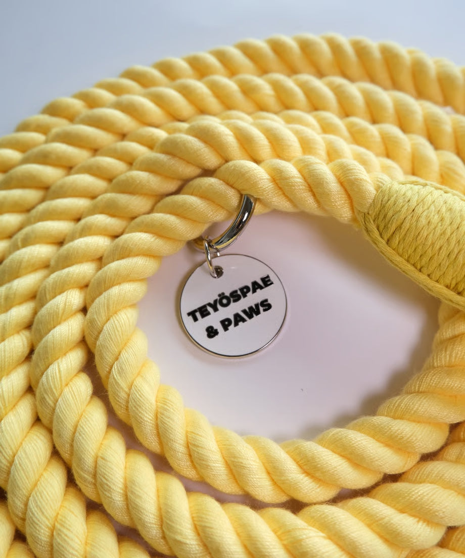 Hands-free rope lead 210cm - LEMON & Silver, thick lever hook snap hook