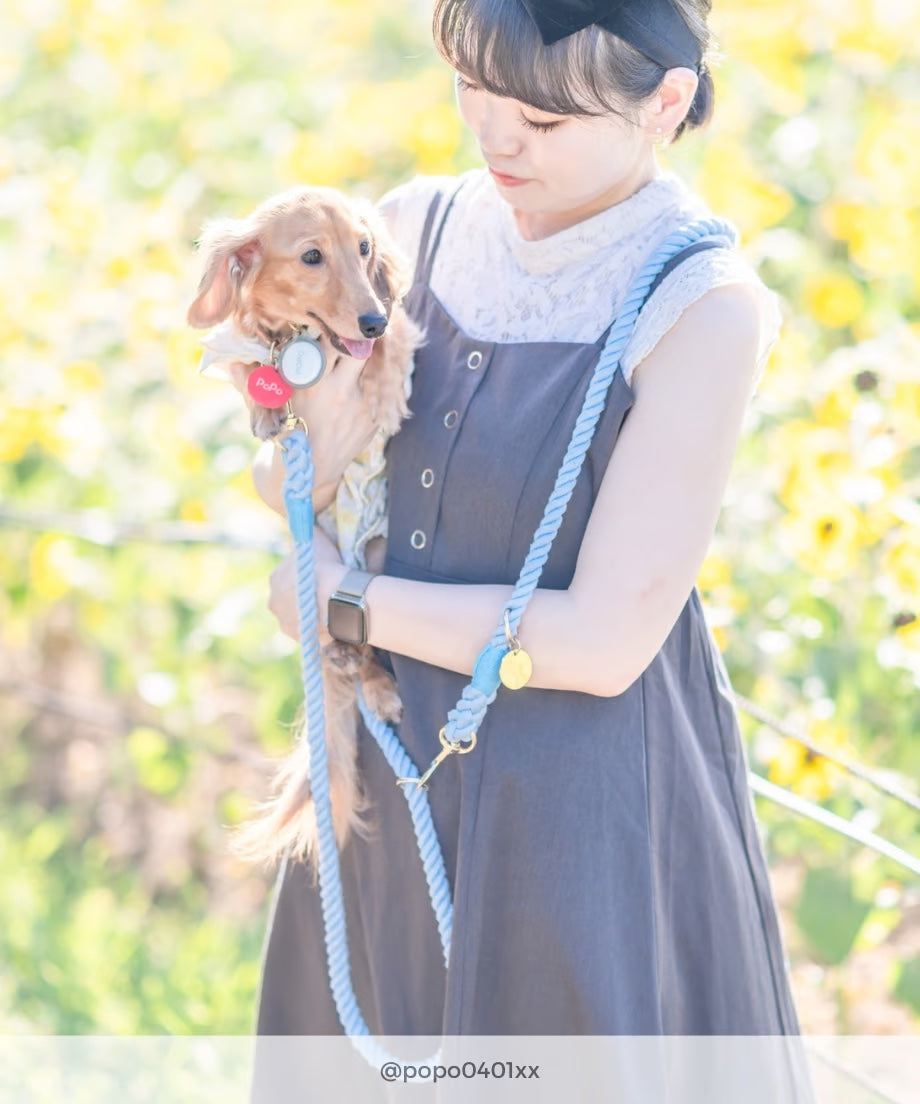 Hands-free rope lead 210cm - SORA & Gold, thick lever hook snap hook