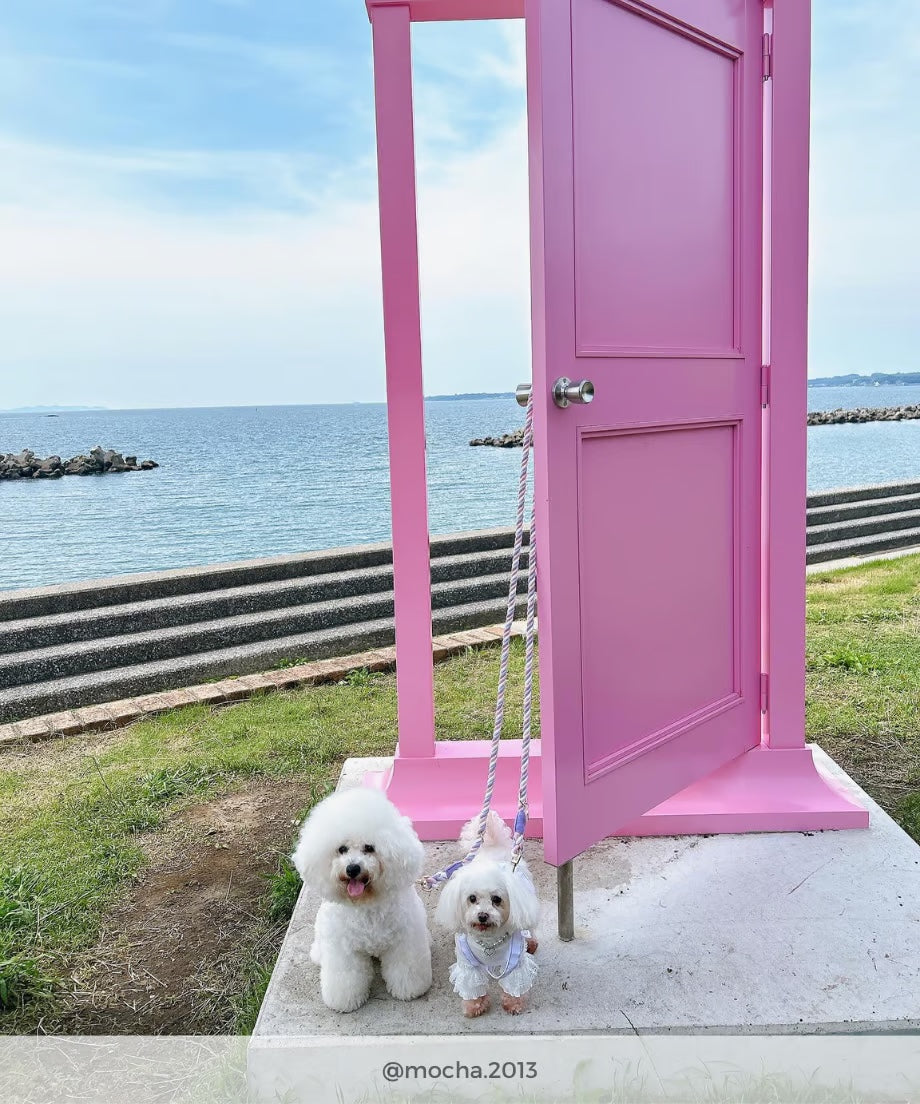 肩掛け ハンズフリーロープリード 210cm - UNICORN/ユニコーン <GOLD>