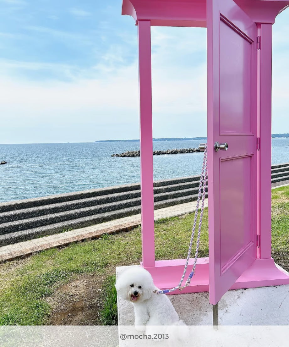 肩掛け ハンズフリーロープリード 210cm - UNICORN/ユニコーン <GOLD>