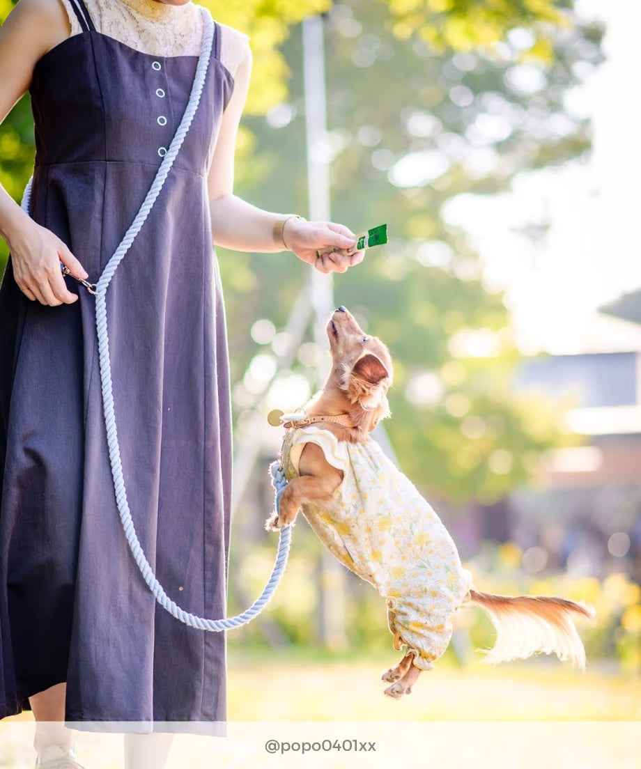 Hands-free rope lead 210cm - SORA & Gold, thick lever hook snap hook