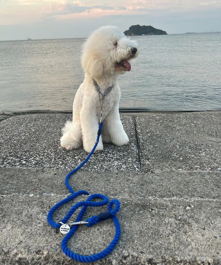 肩掛け ハンズフリーロープリード 210cm - UMI/海 <SILVER>