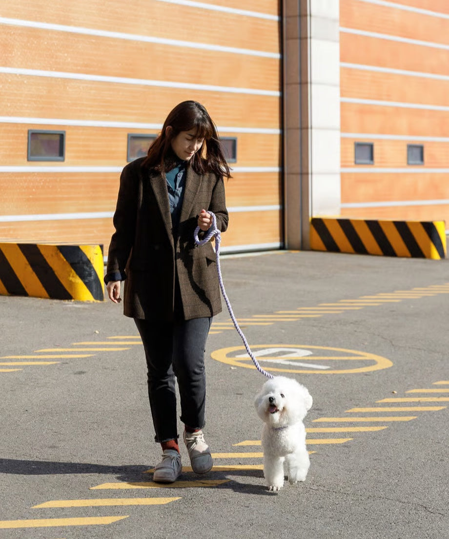 Rope Lead 120cm - SUMIRE & Gold