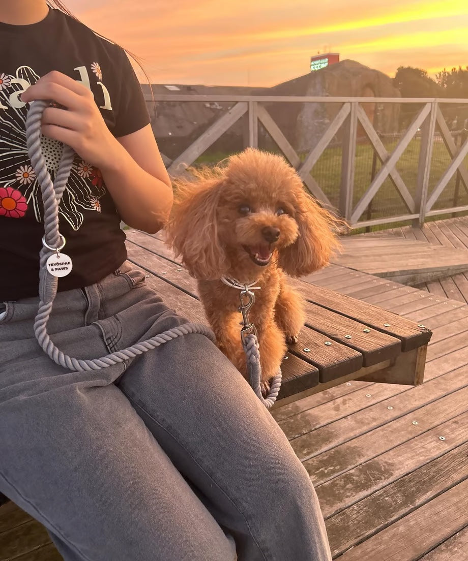 Rope Lead 120cm - GRAY & Silver