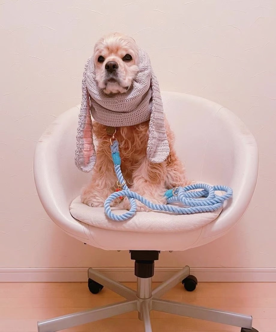 Hands-free rope lead 210cm - SORA & Gold, thick lever hook snap hook