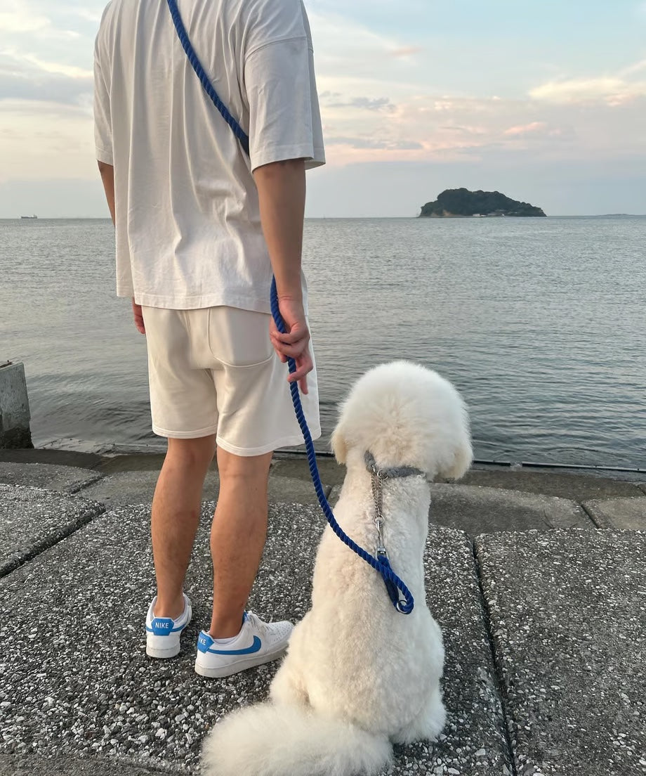 肩掛け ハンズフリーロープリード 210cm - UMI/海 <SILVER>