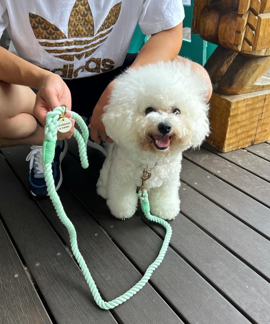 Rope Lead 120cm - WAKABA & Gold