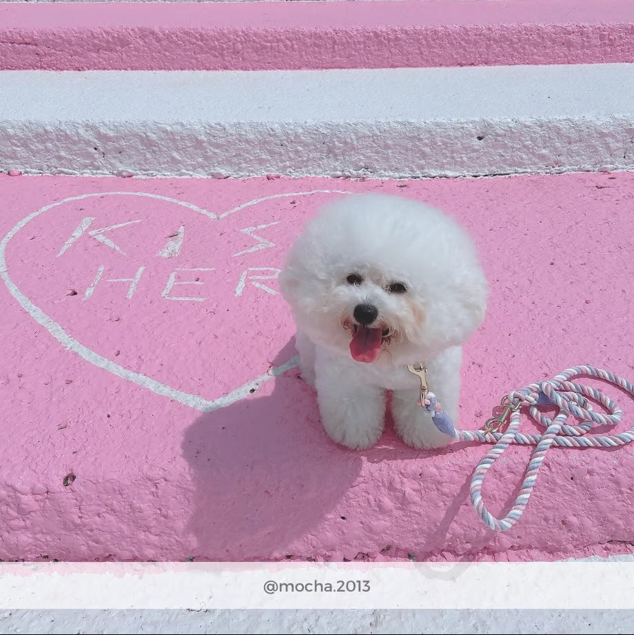 肩掛け ハンズフリーロープリード 210cm - UNICORN/ユニコーン <GOLD>