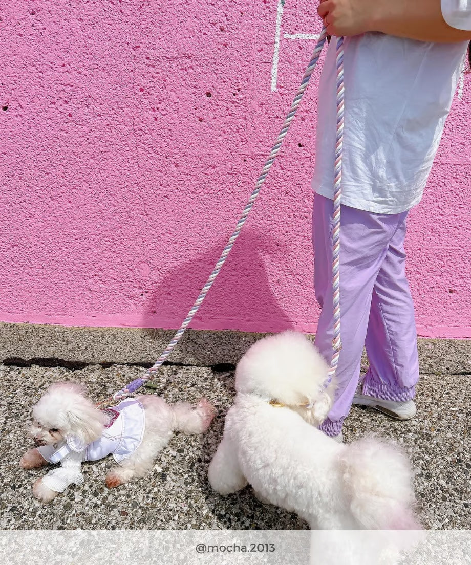 肩掛け ハンズフリーロープリード 210cm - UNICORN/ユニコーン <GOLD>