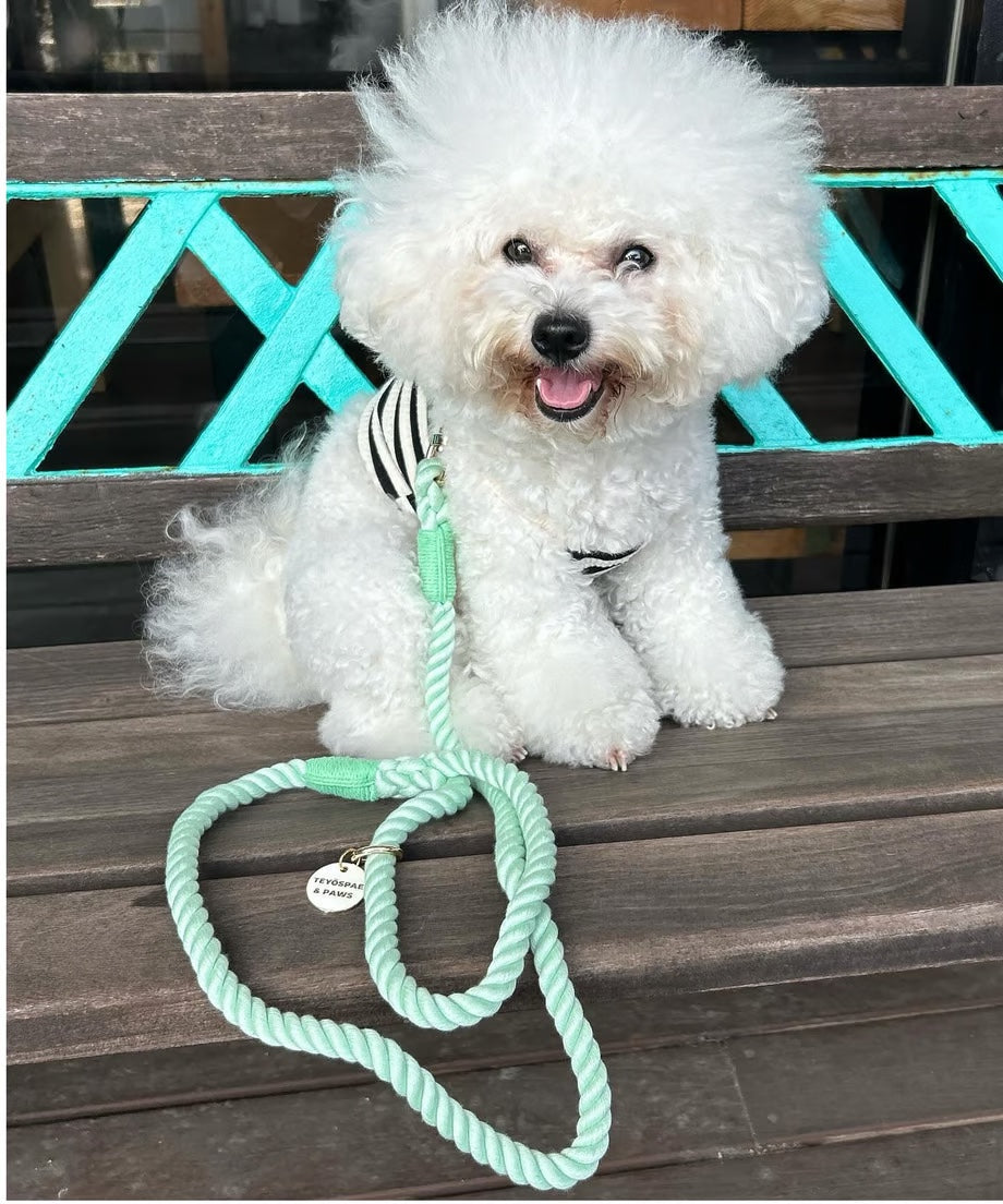 Rope Lead 120cm - WAKABA & Gold