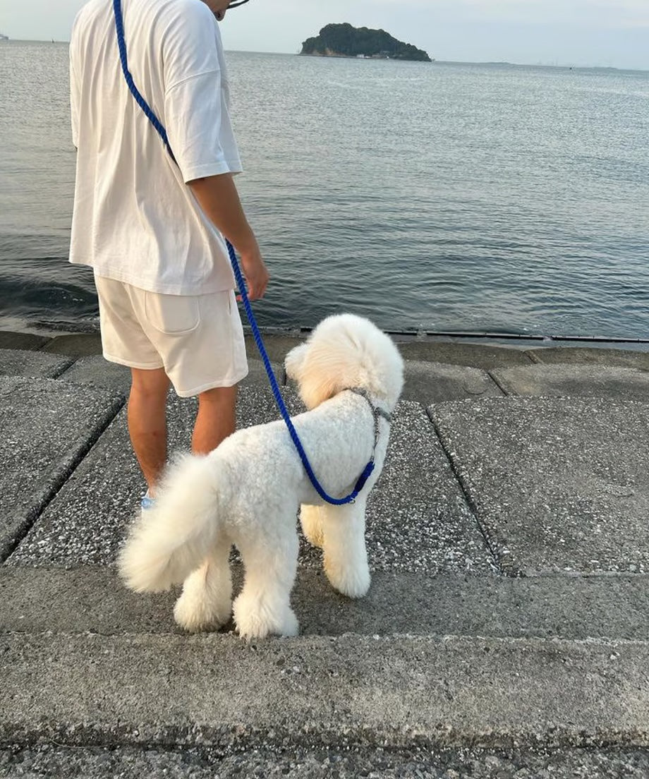 肩掛け ハンズフリーロープリード 210cm - UMI/海 <SILVER>