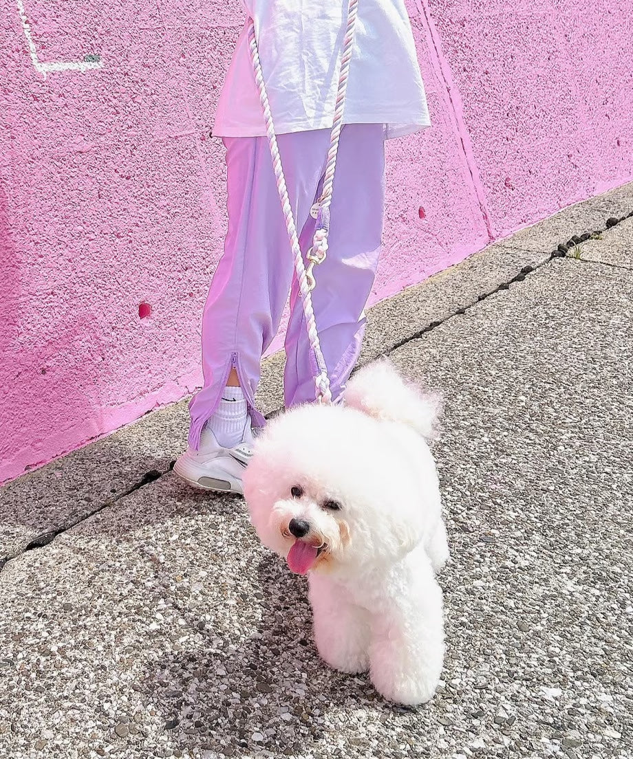 肩掛け ハンズフリーロープリード 210cm - UNICORN/ユニコーン <GOLD>