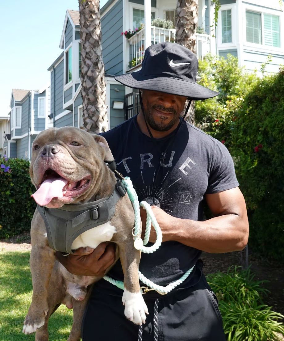 Hands-free rope lead 210cm - WAKABA & Gold, thick lever hook snap hook