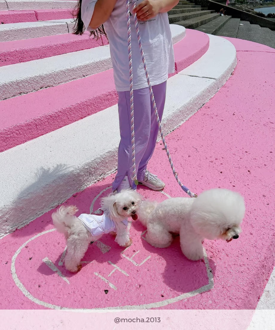 肩掛け ハンズフリーロープリード 210cm - UNICORN/ユニコーン <GOLD>