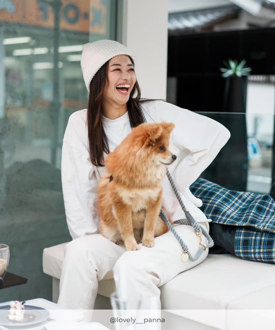 Hands-free rope lead 210cm -GRAY