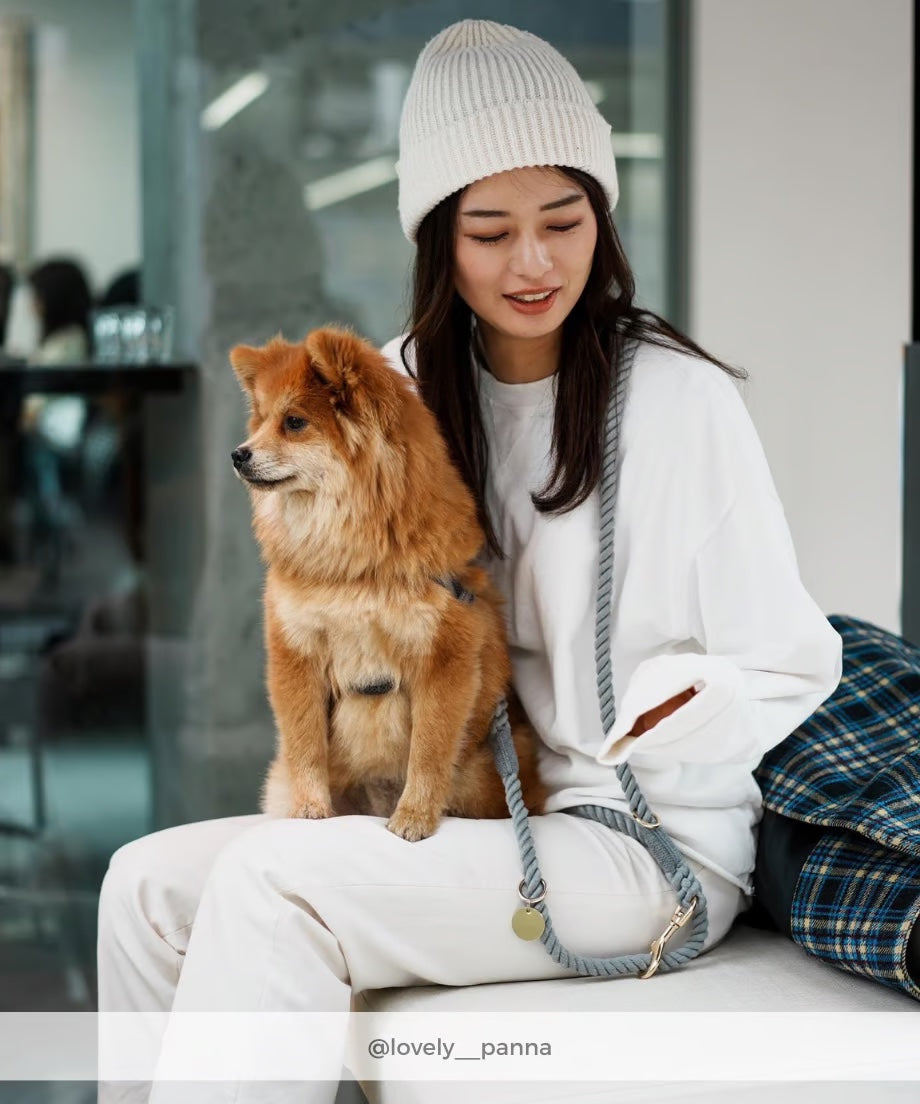 Hands-free rope lead 210cm -GRAY