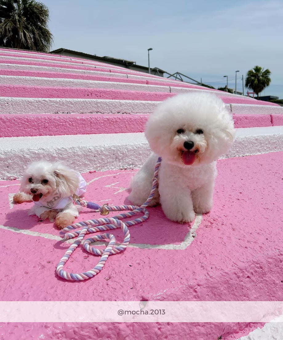 肩掛け ハンズフリーロープリード 210cm - UNICORN/ユニコーン <GOLD>