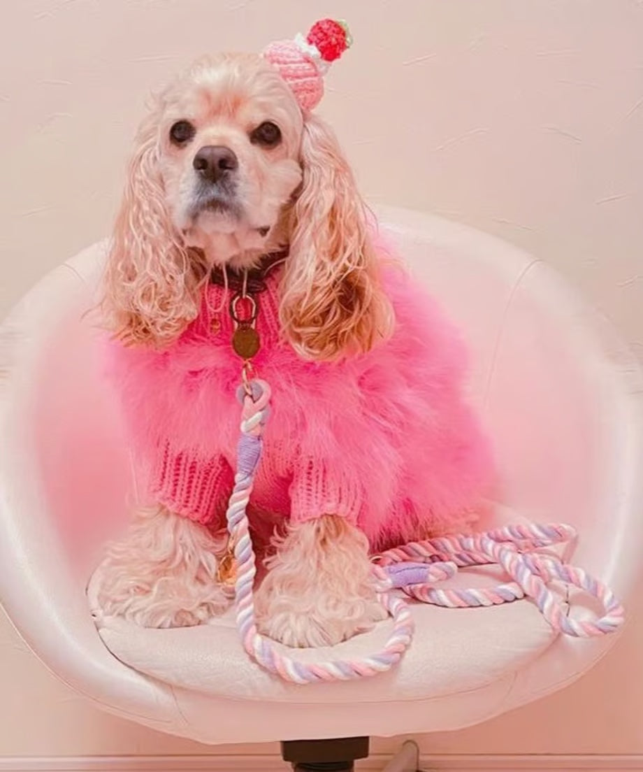 肩掛け ハンズフリーロープリード 210cm - UNICORN/ユニコーン <GOLD>