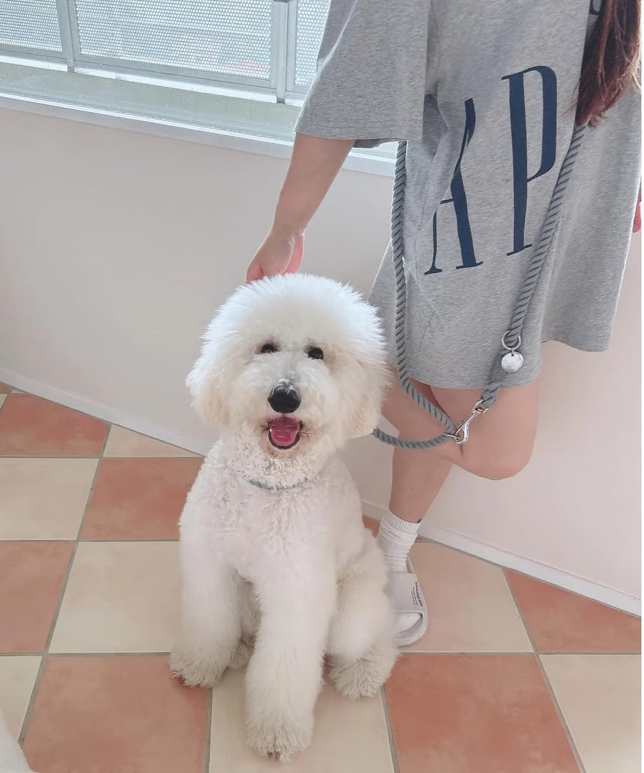 Hands-free rope lead 210cm -GRAY